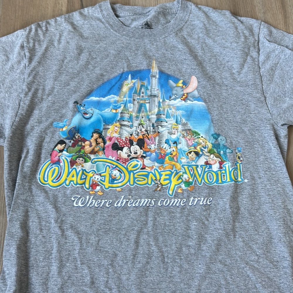 Walt Disney World “Where Dreams Come True” Men’s T-shirt M (used)